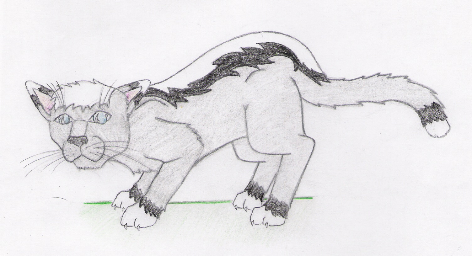 Badgerstripe-Getting ready to pounce by Nightwhisper350