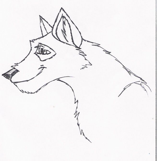 Random wolfie doodle by Nightwhisper350