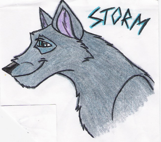 Storm (Random wolfie doodle colored) by Nightwhisper350