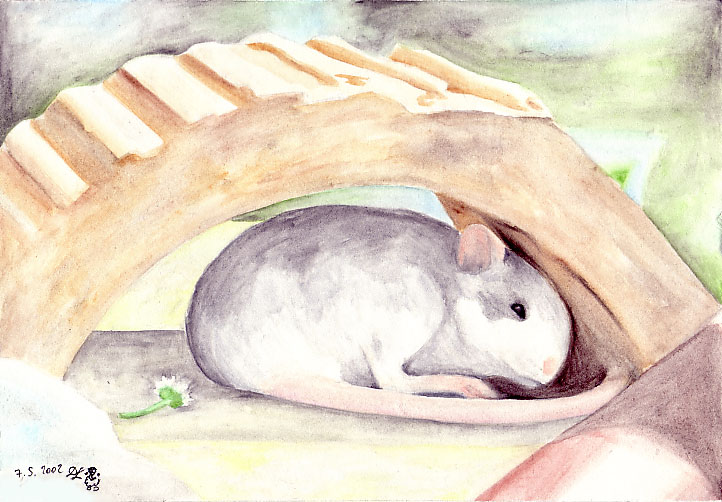 cute lill' Rat under a brick by Noot_das_Schaf