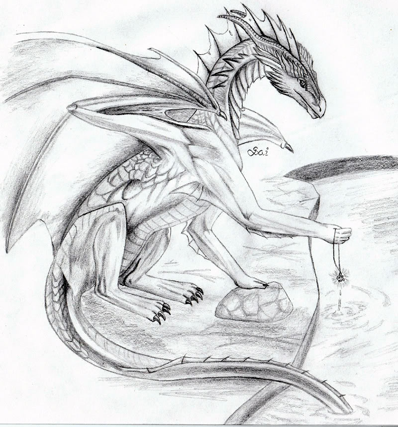 Dragon by Nova__