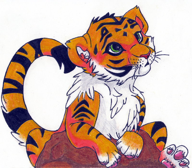 Tiger Cub by Nova__