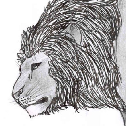 Lion Head by Noweia