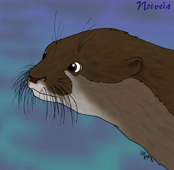 Otter by Noweia