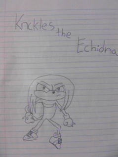 Knuckles the Echidna by Numbuh_4