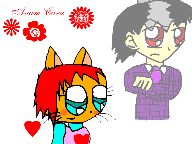 Anam Cara (fanfic cover) by NuttyRulez221