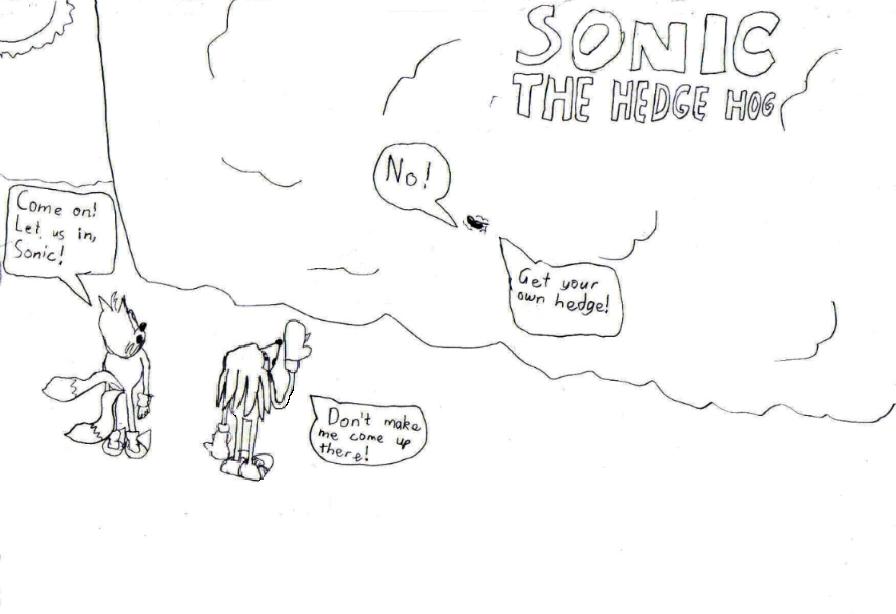 Sonic the Hedge Hog by NuttymcNutNut