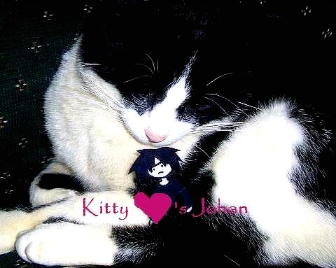 Kitty Loves Johan by n1nj4_ch1x0r