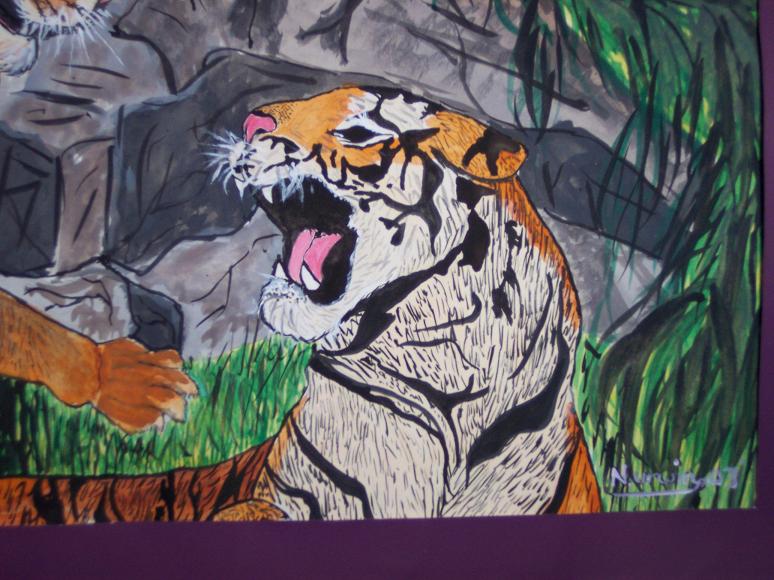 fighting tigers by nat-urwin