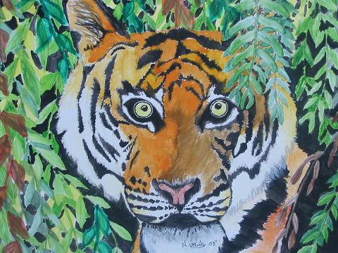tiger in rainforest by nat-urwin