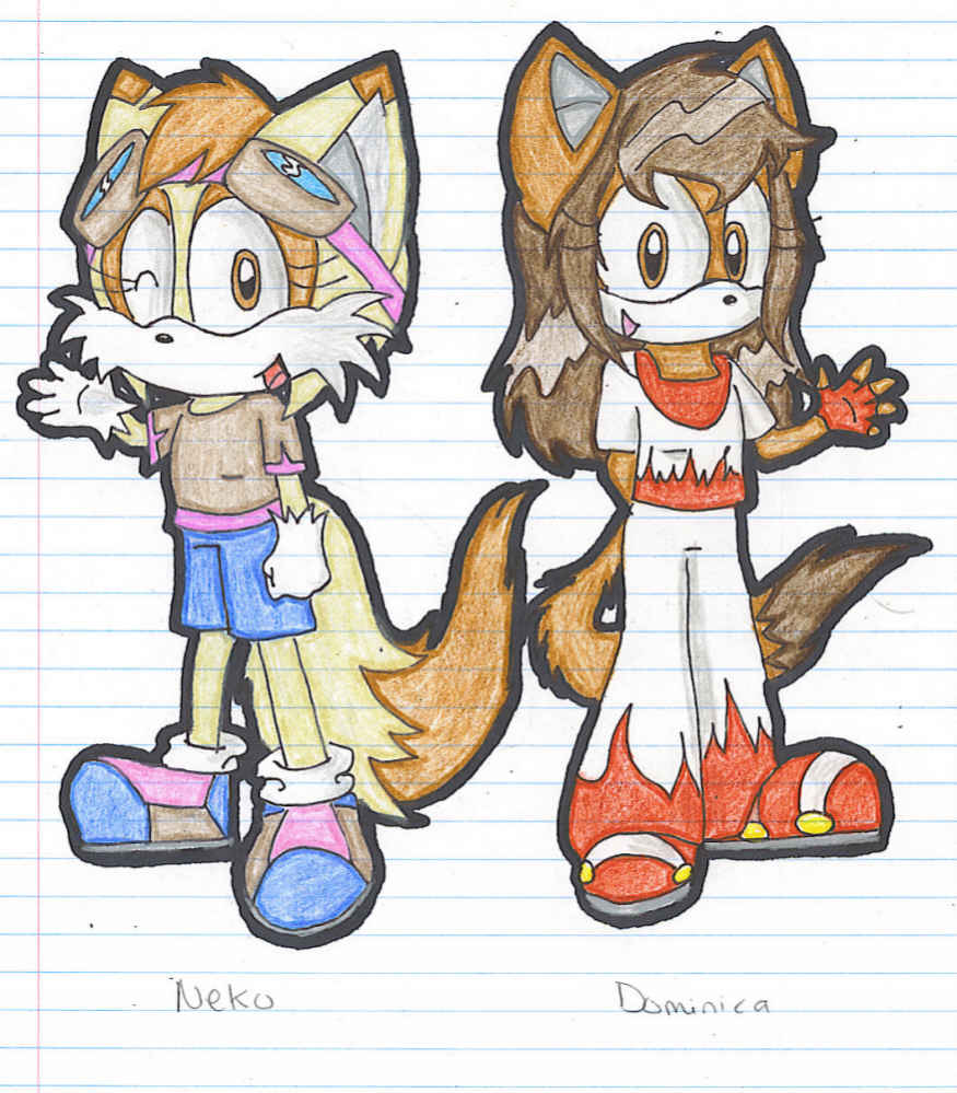 Two OC's if they were in 'Sonic Riders' by neko-the-cat