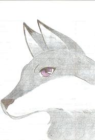 Wolf/fox hybrid by nekohanyoumiko