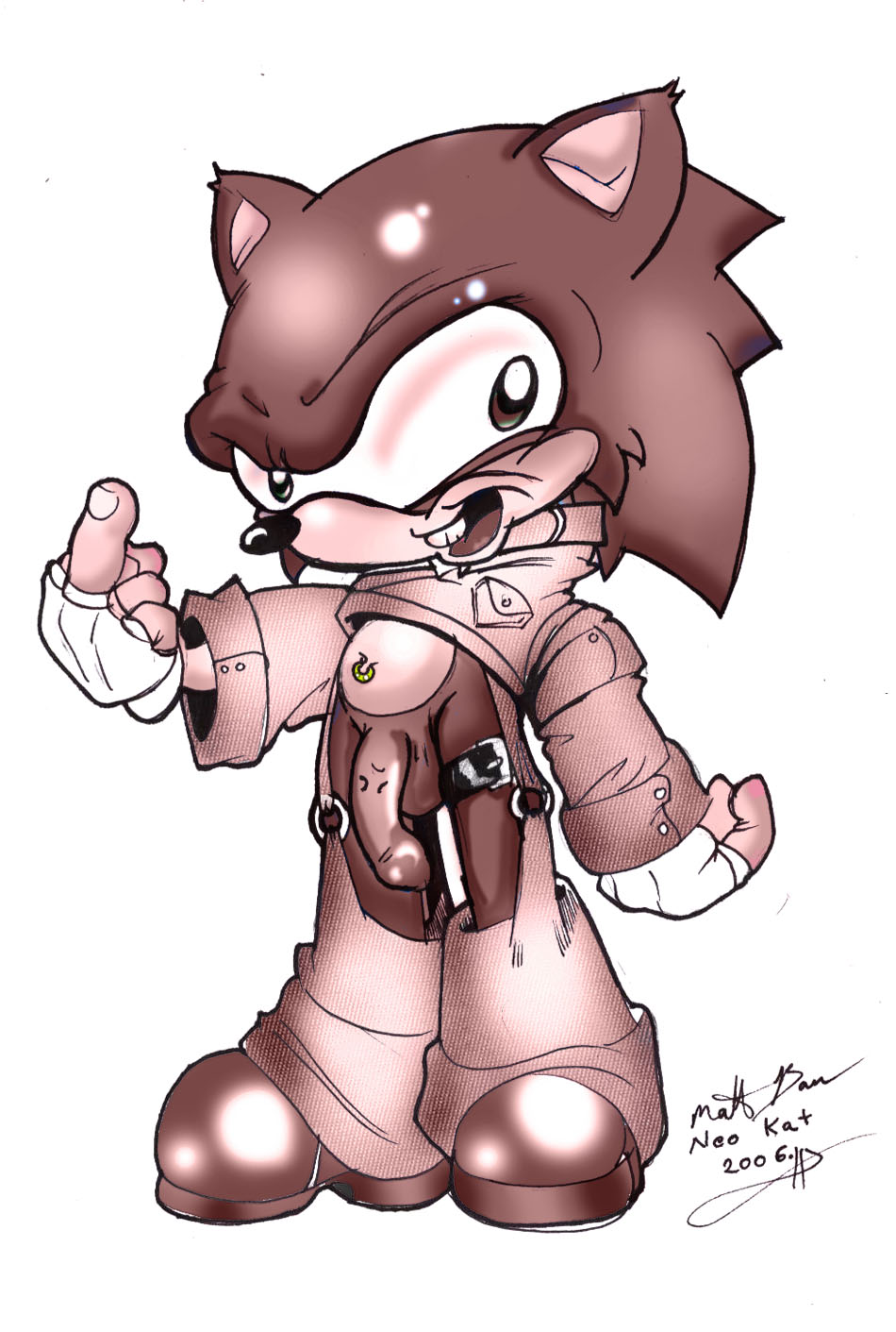 Sonic hentai (sexy sonic) by neokat - Fanart Central