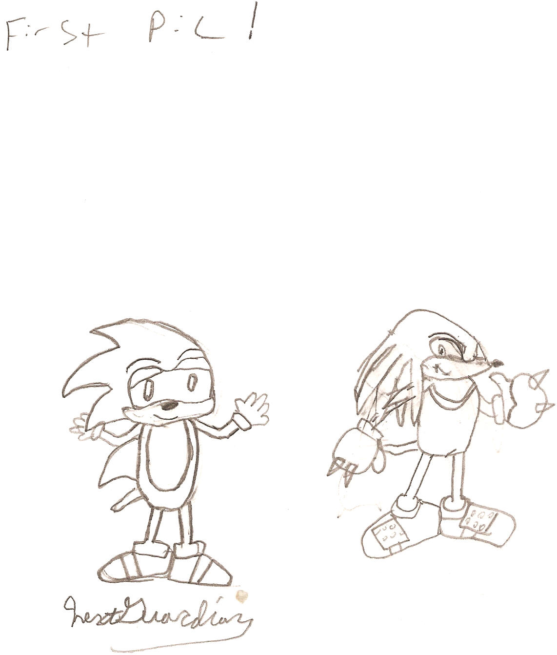 Sonic and Knux 1 by nextguardian