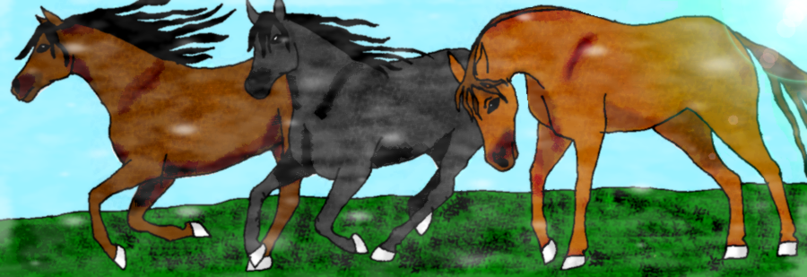 Horse trio by Odinette
