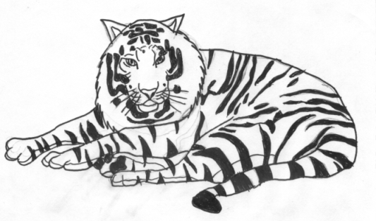 A.... Bengal Tiger by Ogrim_Doomhammer