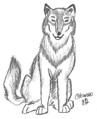 A real Wolf scetch by Okamiko0688