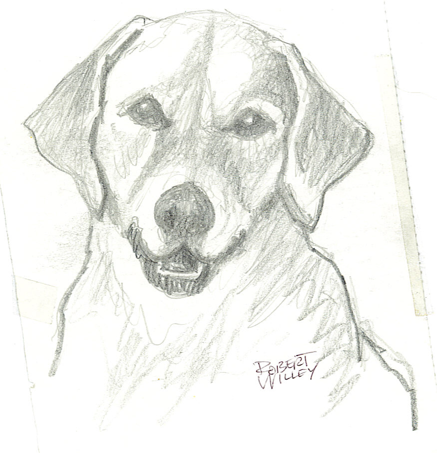 a dog by Old_drawer_willey