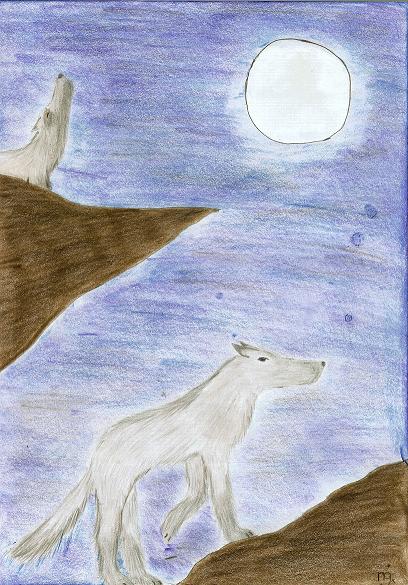 A grey wolf with blue eyes by night for AxeDry by OliverandJames4ever
