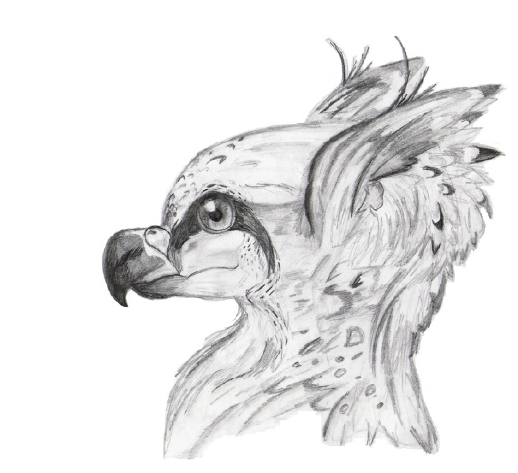 Griffin Head :3 out of 3 by Omi13