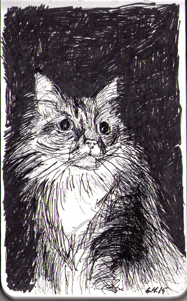 Dramatic cat named Dezi by OneDrawingDaily