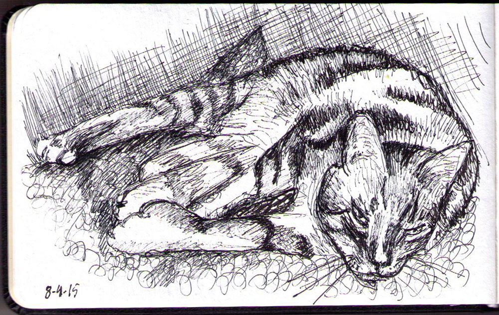 A very sleepy cat sketch by OneDrawingDaily