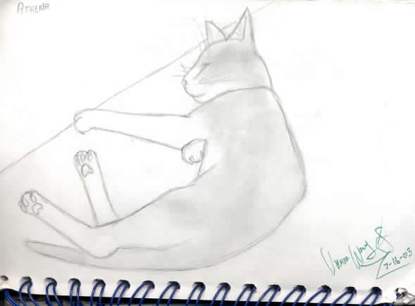 Sketch- My Cat Athena by OnyxRaven