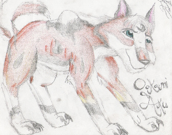 Ookami Aku--My wolf character by Ookami_Aku