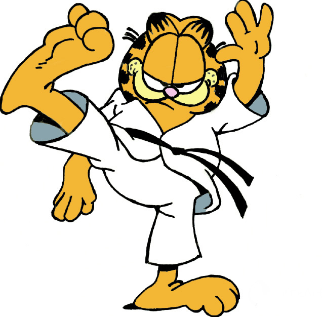 Black Belt Garfield by OrangeArt