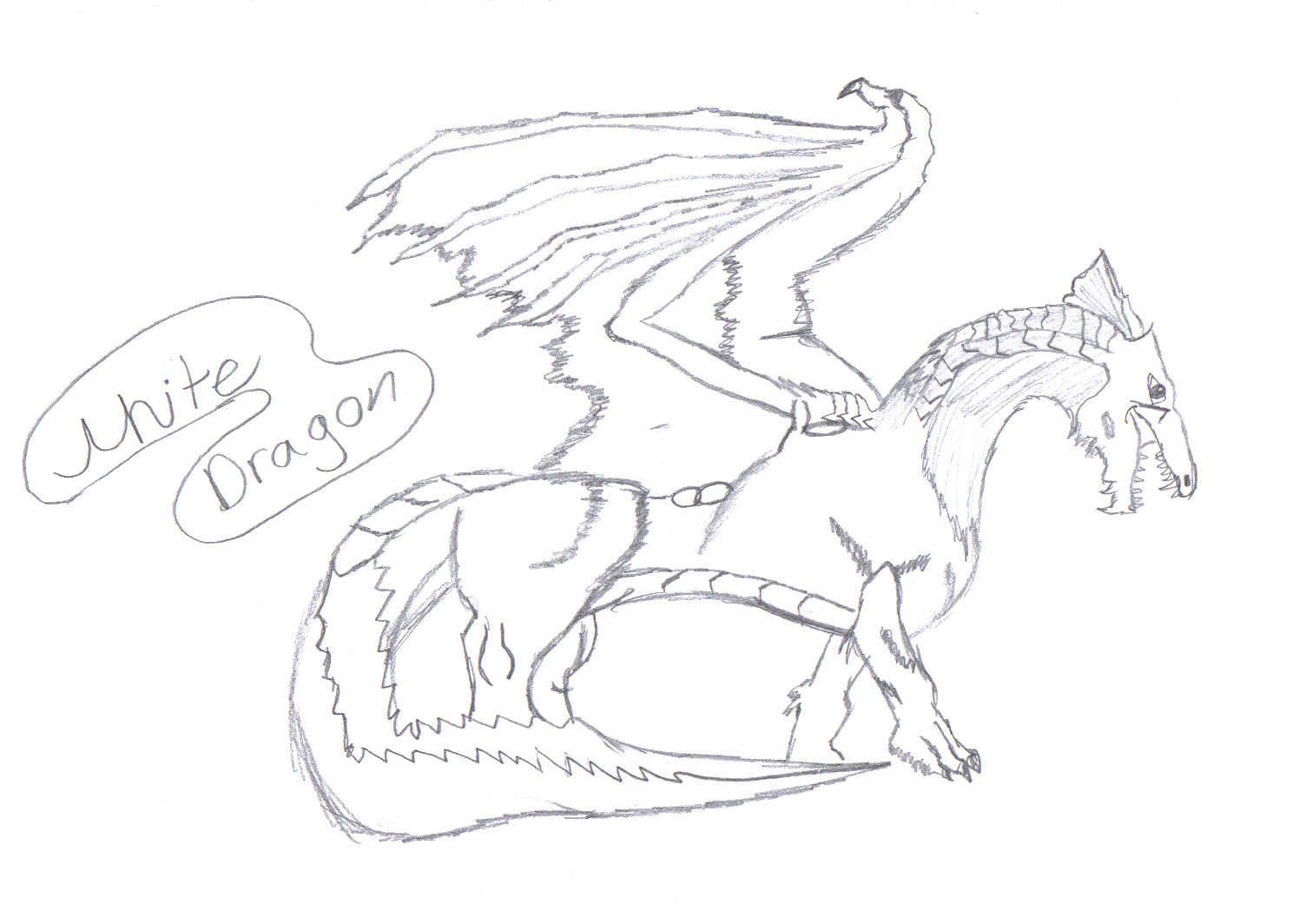 White Dragon Sketch by Oricalcoss