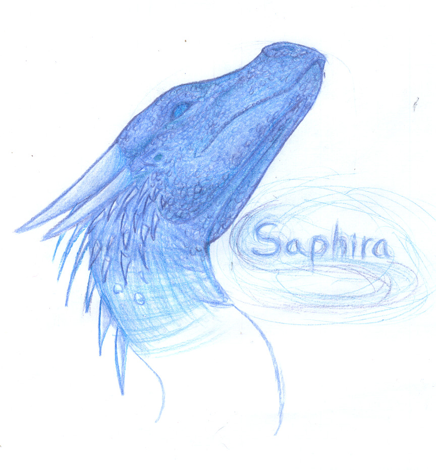 eragon saphira drawing