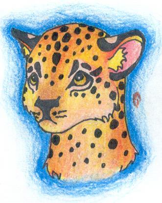 Leopard cub by Ouari