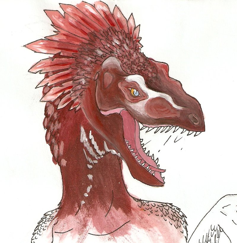 Raptor head by Ouari