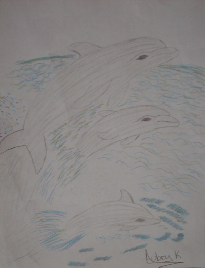 dolphins by Outbackgirl14