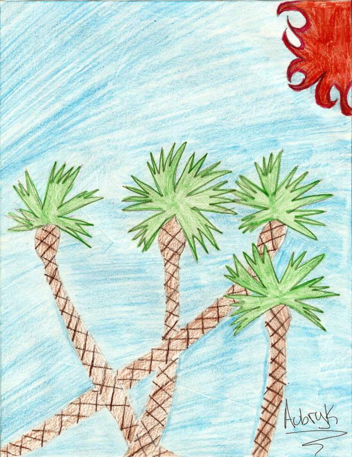 Palm Trees! XD by Outbackgirl14