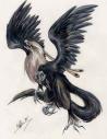Black Shamrock Griffin by obi-wan-kenobi