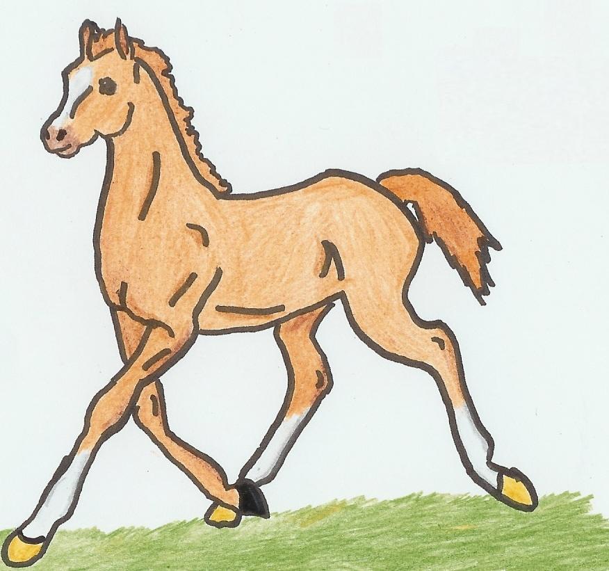 Rusty as a foal by omgzitssora