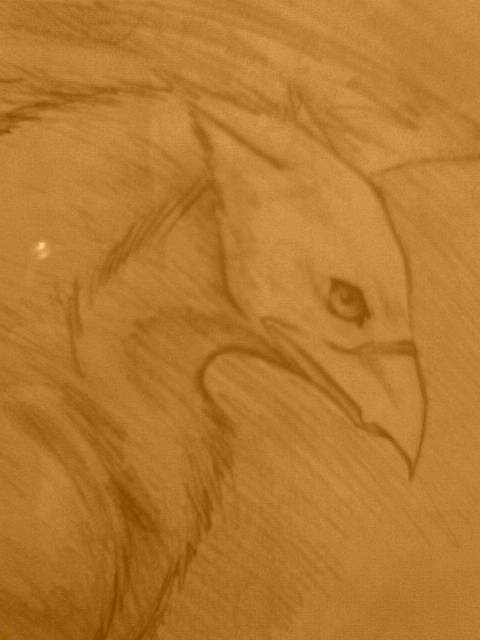 Griffin veiw by onlyahalfbreed