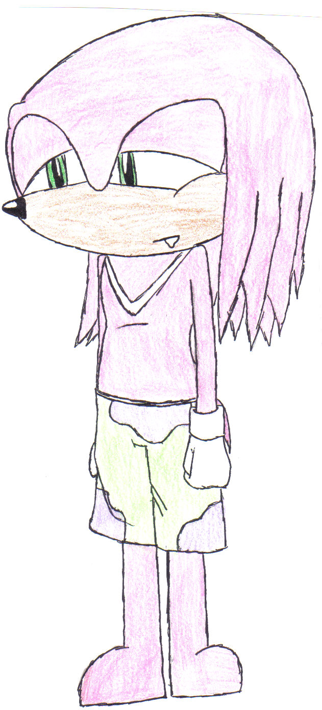 patrick the echidna by orchid