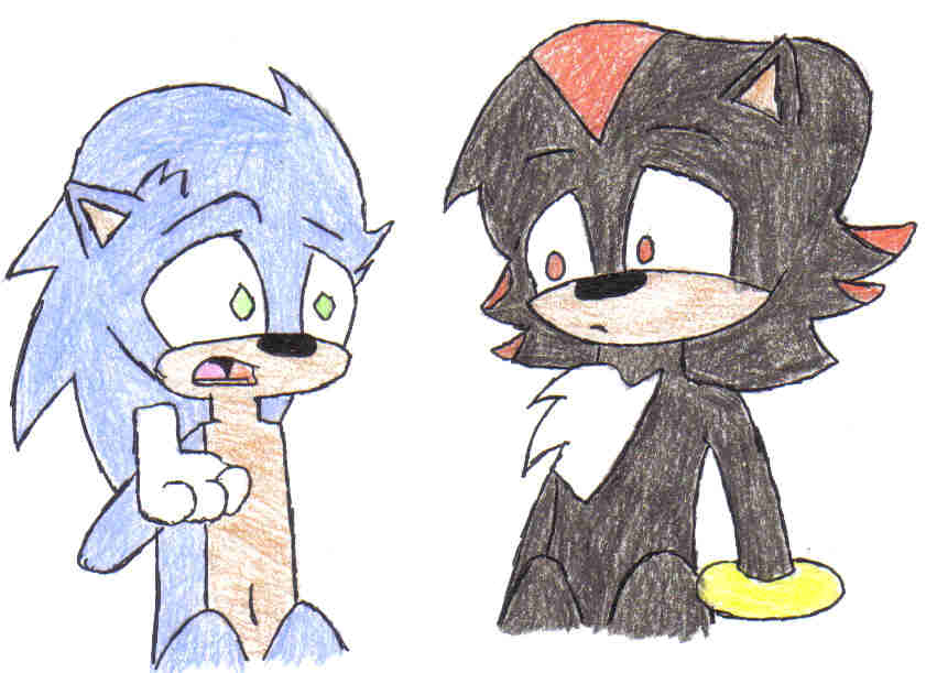 Sonic and Shadow-VG Cats style by orchid