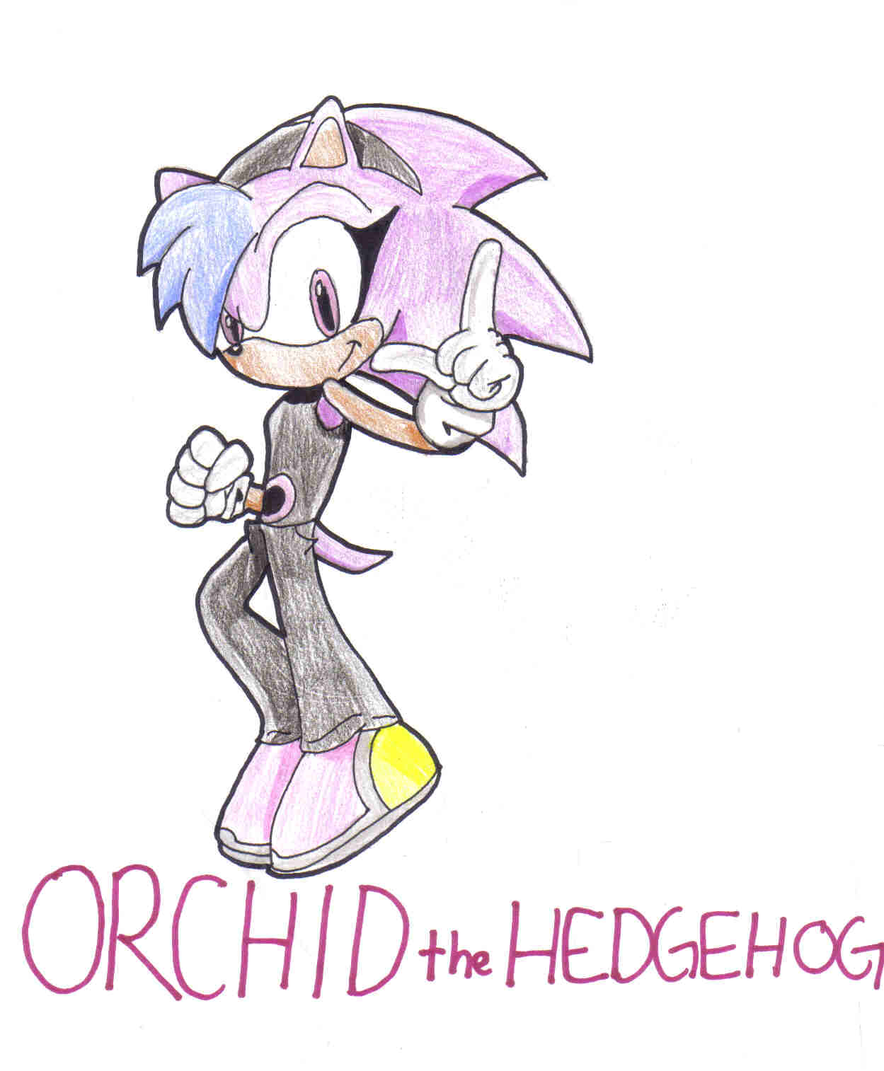 Orchid (Sonic Rush pose) by orchid