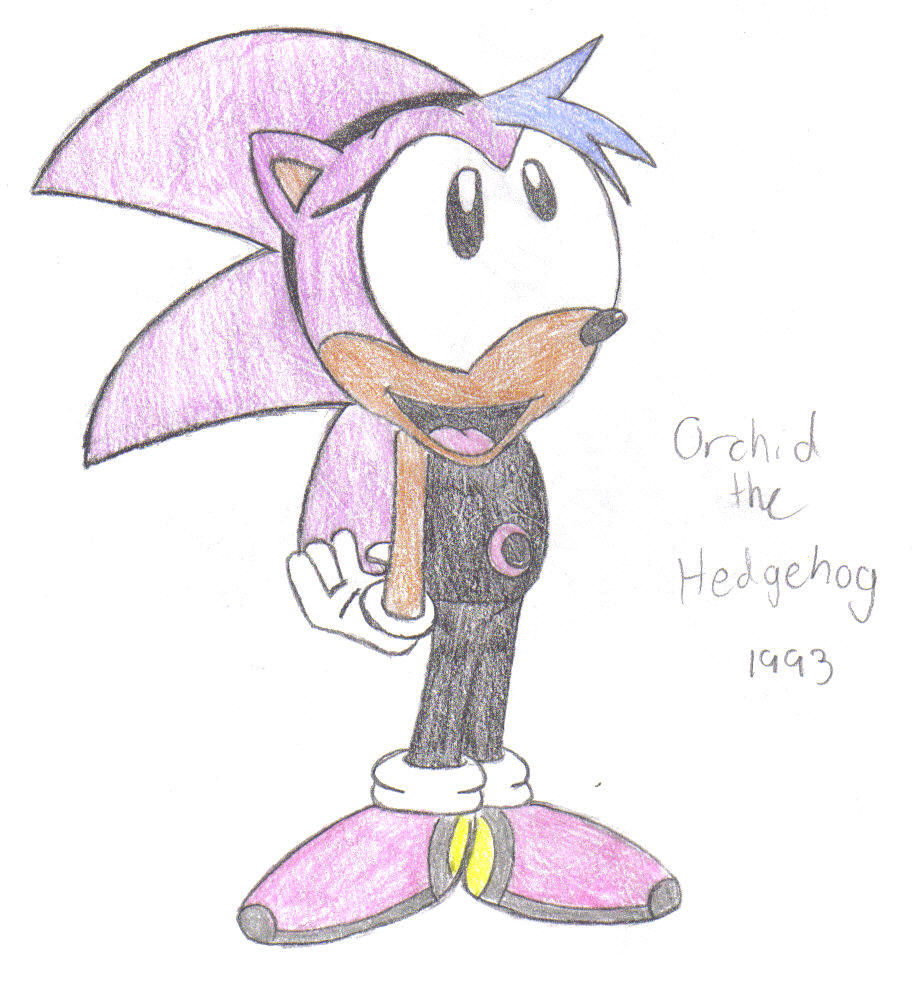 Orchid the Hedgehog (1993) by orchid