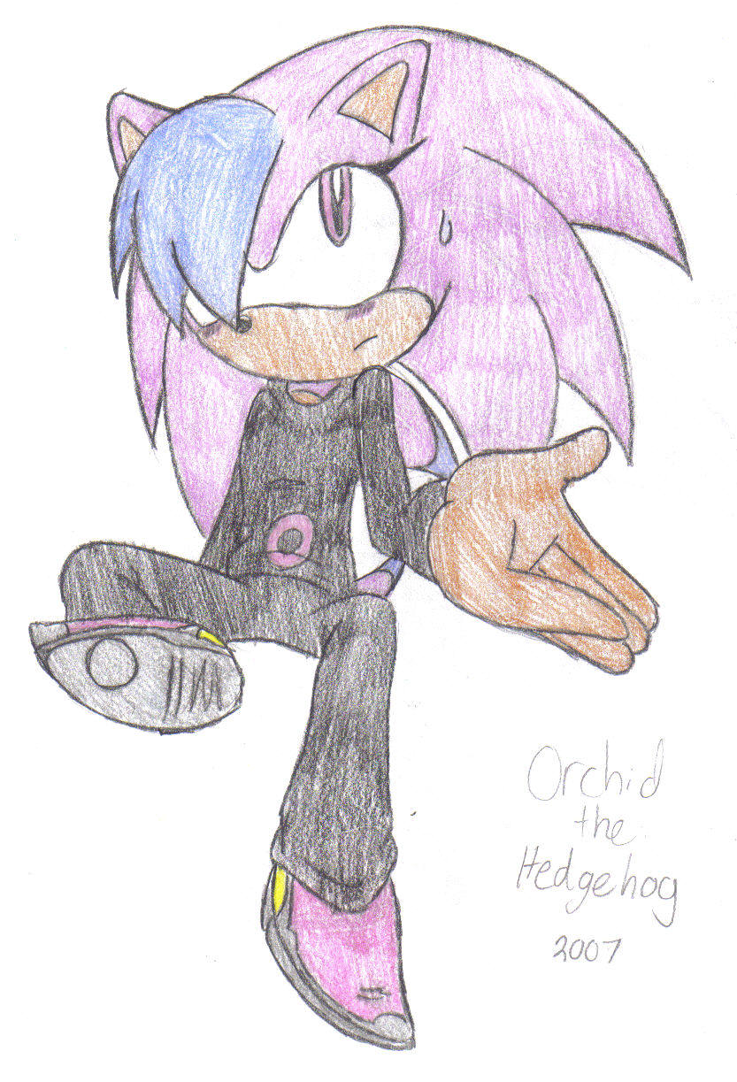 Orchid the Hedgehog (2007) by orchid