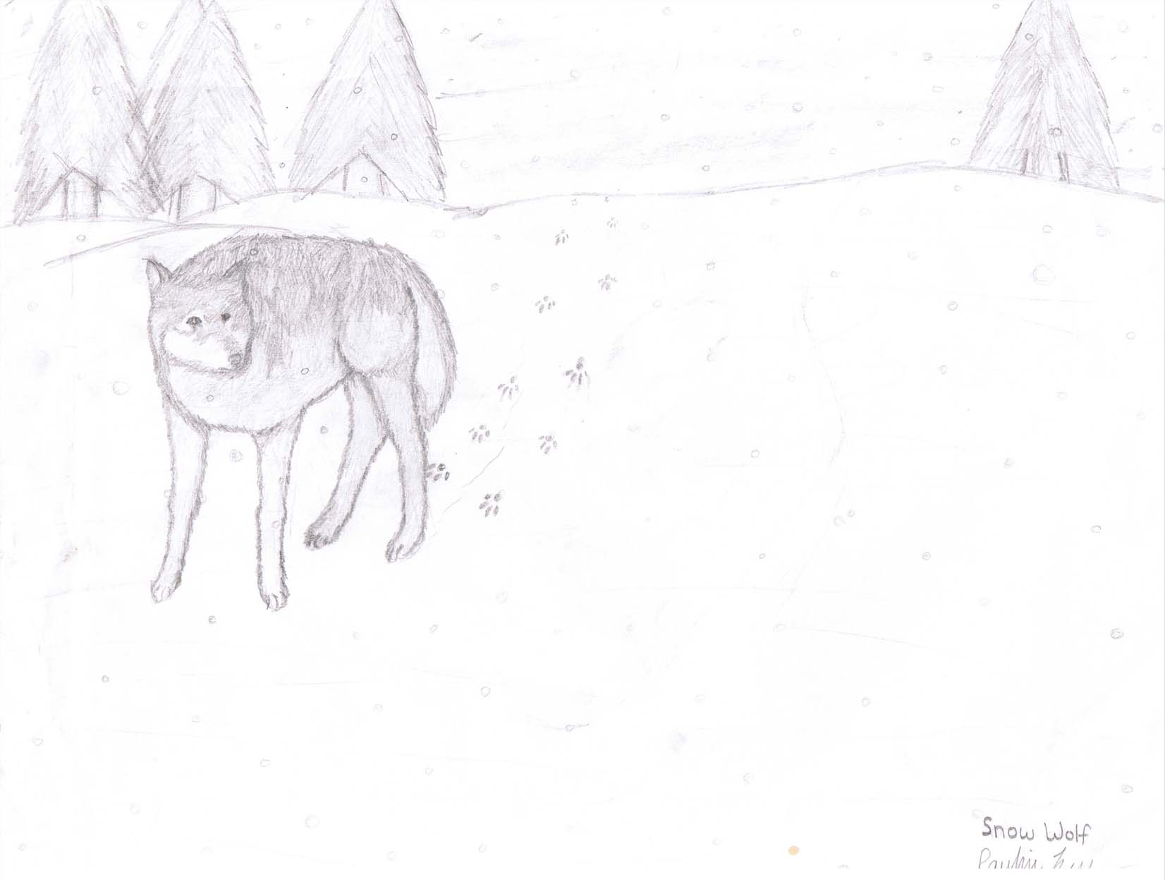 Snow Wolf by Pabbit_da_Rabbit