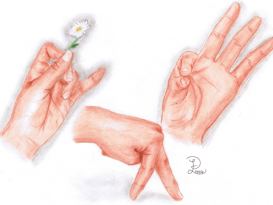 Conte Hands by Pabbit_da_Rabbit