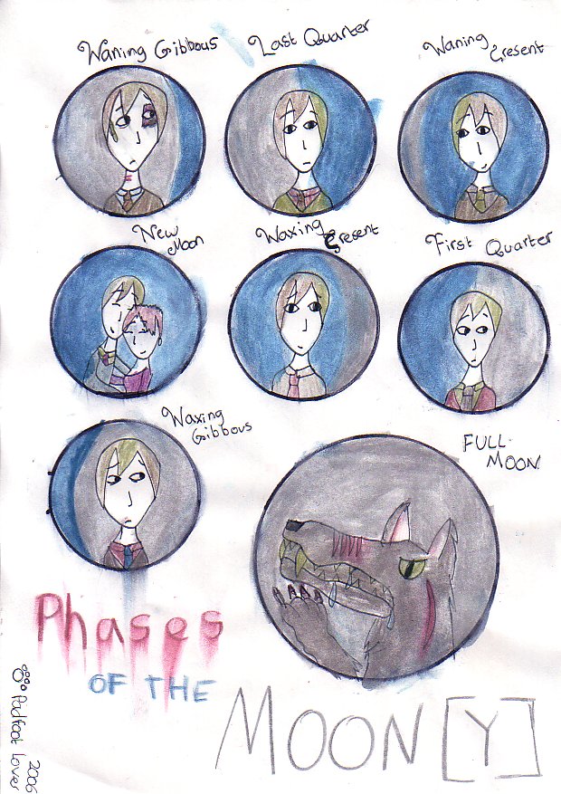 Phases of the Moon[y] by Padfoot_Lover