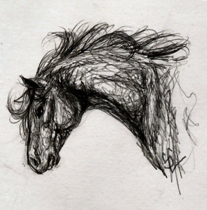 Horse Profile by Papercut_Dragon