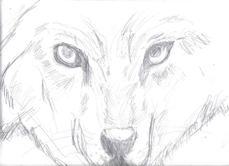 Wolf eyes by Past_Sinns
