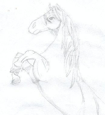 Horse by PeanuttyBuddy