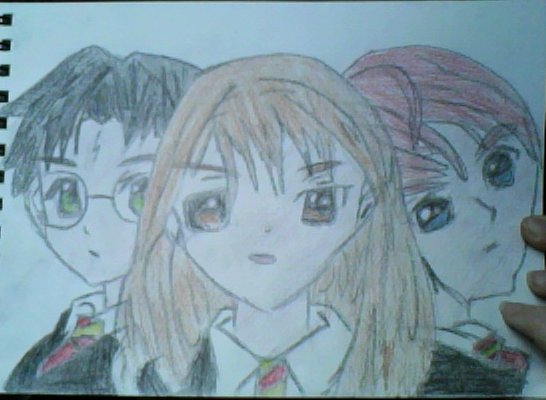 Harry, Hermionie and Ron by Peekaboo